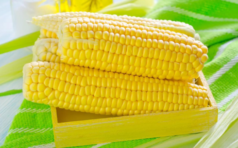 新手怎么做玉米期貨？玉米期貨交易