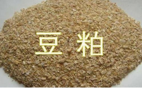 怎么享受優(yōu)惠手續(xù)費(fèi)？豆粕期平今倉