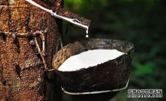 橡膠上漲仍可期，焦炭期現聯動，向