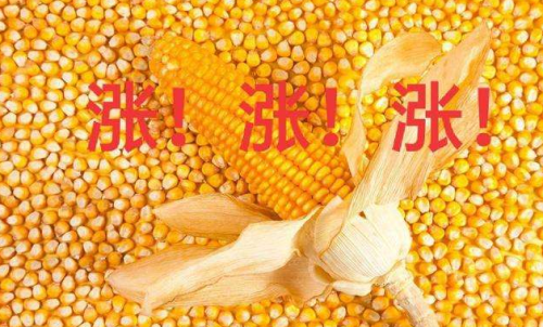 玉米期貨開戶要驗資嗎？為何不能買