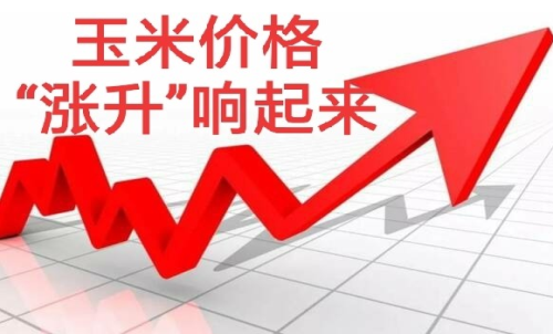 做玉米期貨盈利難嗎？玉米期貨漲5