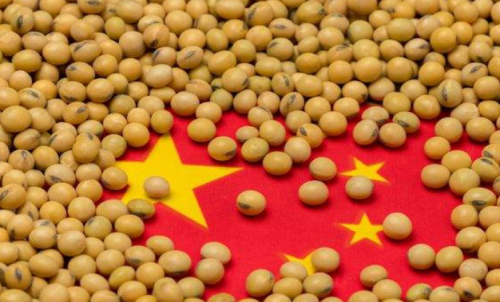 期貨本金虧完了會怎么樣？還需要加